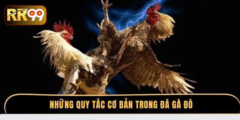 Những quy tắc cơ bản trong đá gà đòn